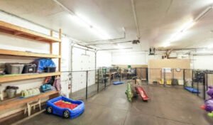 Dawg Zone Dog Day Care