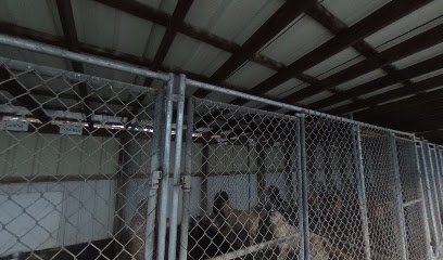Goldenrod Kennels