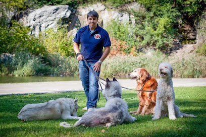 Paws Country Club