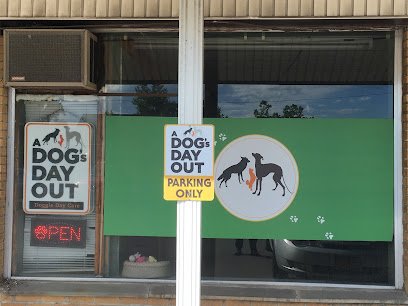 A Dogs Day Out