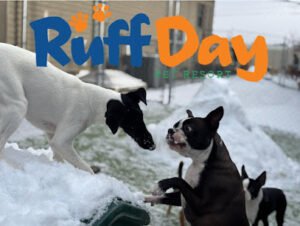 Ruff Day Pet Resort