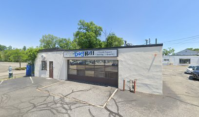 Dog Hill