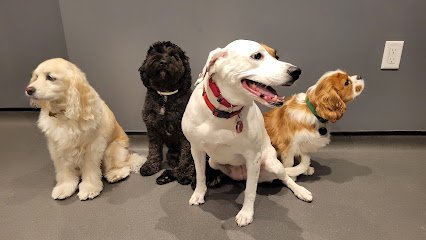 Dog City NYC (Upper East Side)