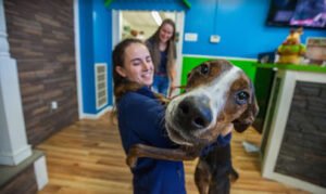 Hounds Town Wilmington