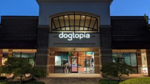 Dogtopia of Harrison Ave