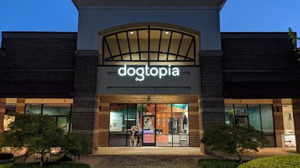 Dogtopia of Harrison Ave