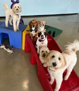 Baxter’s Playhouse