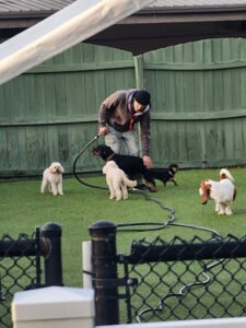 Pupsi Inc.