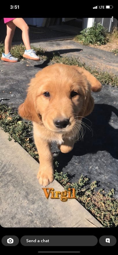 Antelope Creek Estates LLC