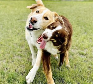 Fetchers