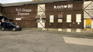 TLC Doggy Daycare