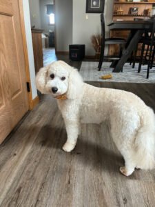 Louie‚Äôs Playhouse