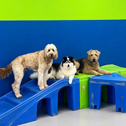 Hounds Town Cleveland-Brunswick