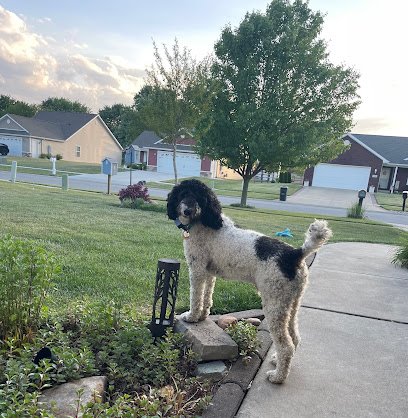 Heartwood Doggie Daycare