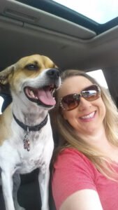 Bark Fitness Pet Care