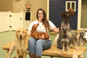 Pups Paradise Doggy Daycare and Boarding Sylvania Ohio
