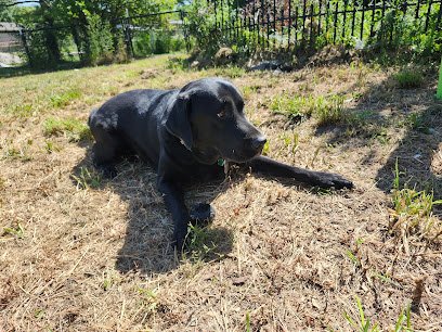 Heaventree’s Doggie Daycations LTD