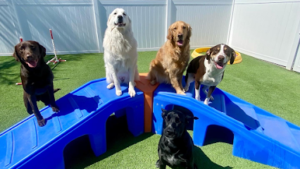Pleasant Pooch Daycare, Training and Dock Diving