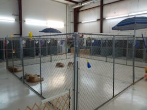 Top Dog Pet Resort & Day Care