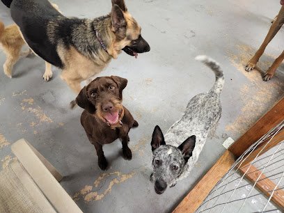 DaisyDuke’s Doggy Resort