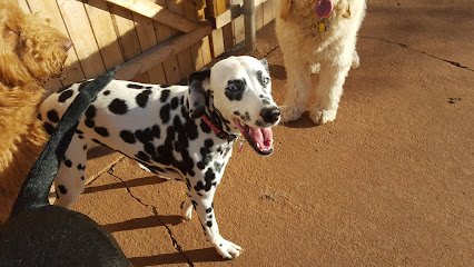 Bark of the Town