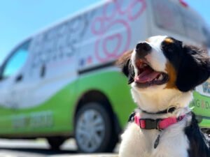 Puppy Paws Hotel & Spa