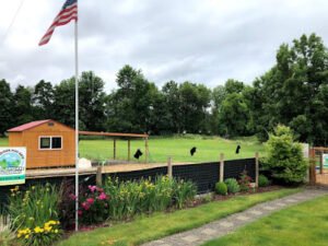 Creekside Dog Days, LLC