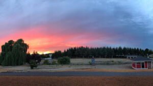 A Dog’s Hide-A-Way