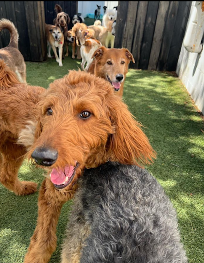 Pups Playhouse