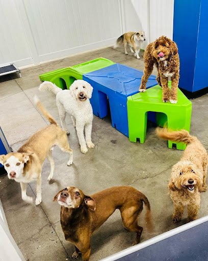 Hounds Town – Pittsburgh – Brentwood