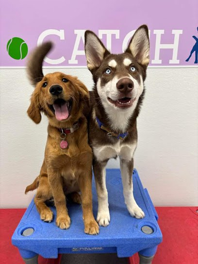 Playful Pups Retreat