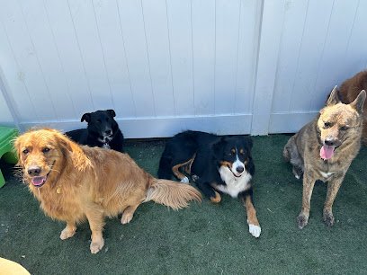 Friendly Paws Pet Resort, LLC