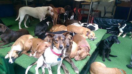 Karens K-9 Care