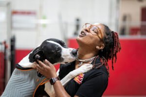 The Dog Stop – West Liberty/South Hills, Pittsburgh