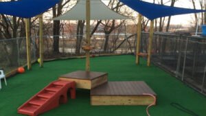 Noah’s Pet Hotel & Spa