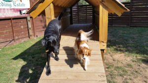Yetto’s Bed & Biscuit