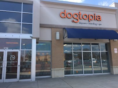 Dogtopia of Limerick