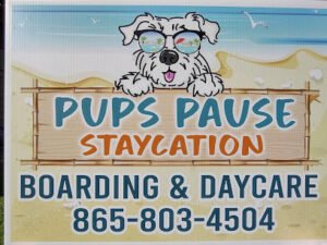 Pups Pause StayCation