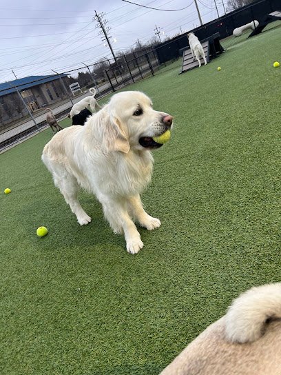 Play Wash Stay