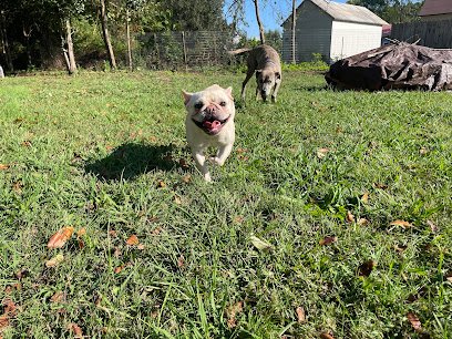 TR Pet Care & Boarding