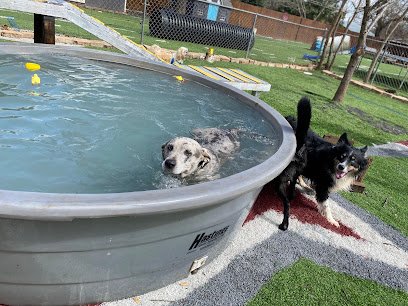 Sonya’s Doggy Daycare & Boarding SDD&B