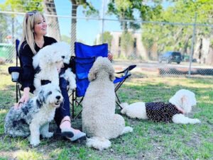 All Paws Academy Resort