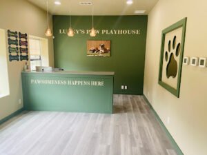 Lucky’s Paw Playhouse