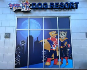 Super Paws Dog Resort