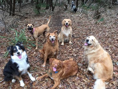 DogCentric Society