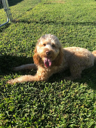 Happy Tails Doggy Daycare & Boarding