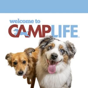 Camp Bow Wow Austin SW