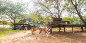 The Oaks Dog Ranch