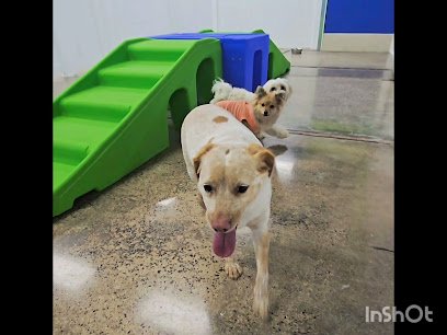 Hounds Town North Richland Hills