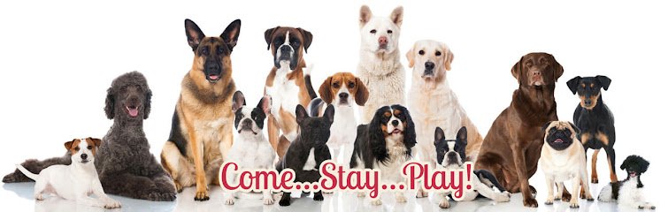 Underdog Kennels